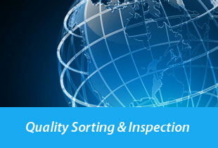 Quality Sorting and Inspection